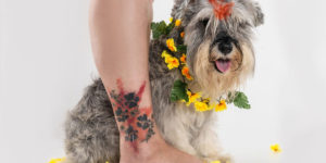 Photography Project That Proves You Can Tell A Pet’s Owner By Their Feet