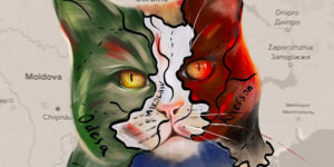 Ukrainian Warrior Cats by Julia Pod