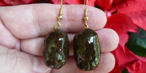 Artist Heidi Reed Creates Jewelry from the Moose Poop