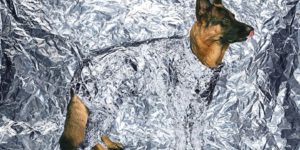 Vulgar, Funny, and Avant-Garde: The Crazy Covers of Toiletpaper Magazine