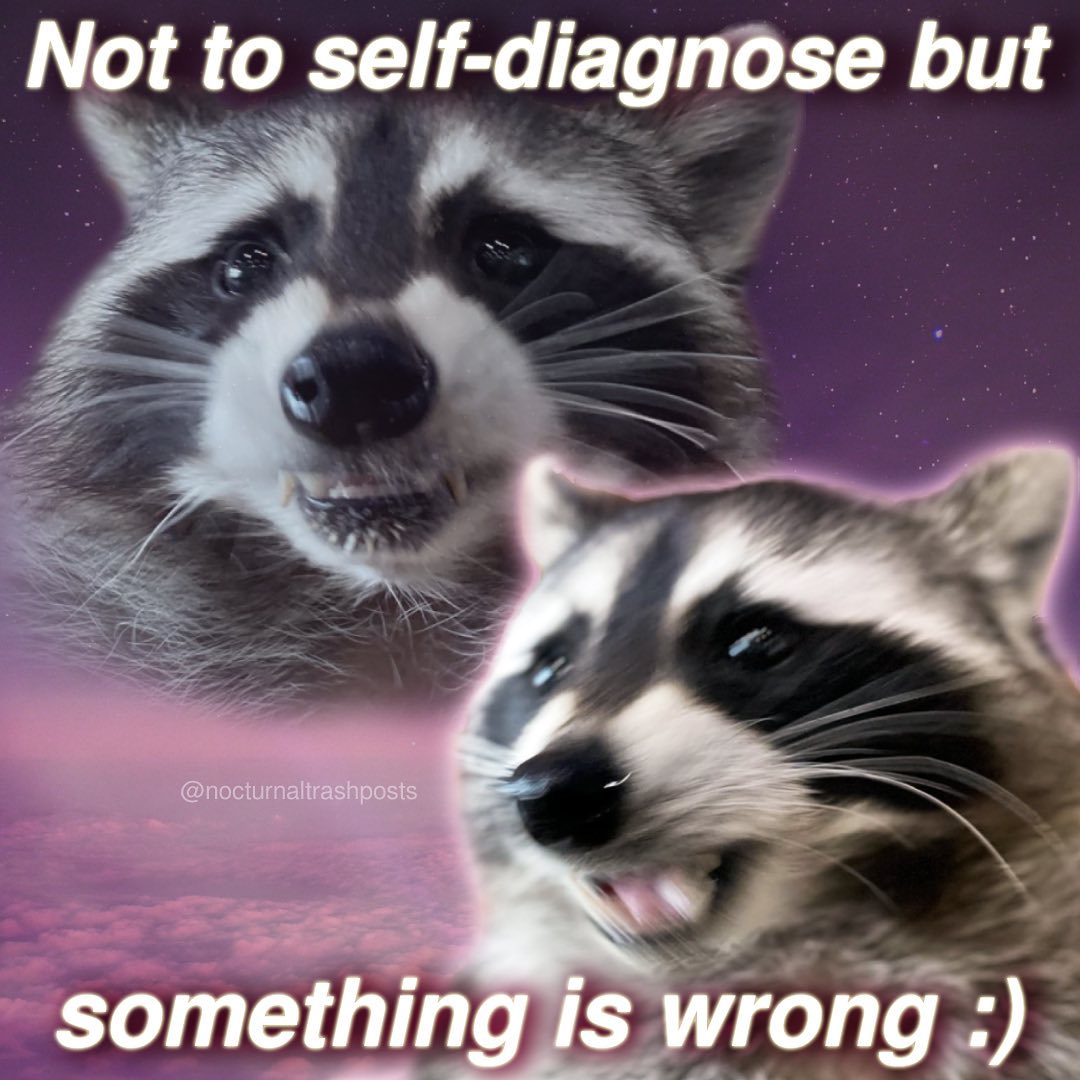 Funniest Raccoon Memes by Nocturnal Trash Posts » Design You Trust ...