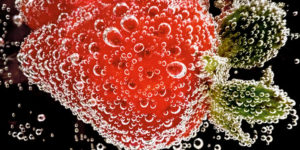 The Best Winning Photos From The iPhone Macro Photography Challenge