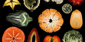 The Sacred Geometry of Fruit and Vegetables Photographed by MRI