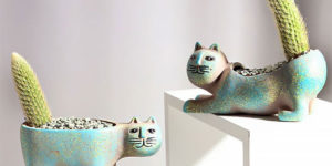 These Funny Cat Planters Create Cats With Cactus Tails