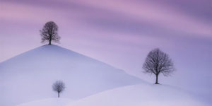 Spectacular Winning Images from The 2021 Landscape Photographer of the Year