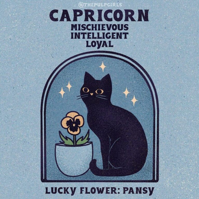 Artists Reimagined Cats As The Zodiac Signs » Design You Trust — Design ...