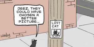 Insert Brain Here: Absurd Situations And Silly Humor In Funny Comics By Paul Woods