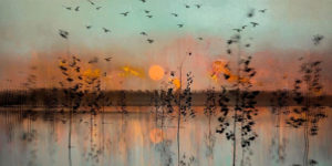 Photographer Mixes Photos and Textures to Create Impressionist Artworks