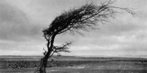 Beautiful Photos of West Zealand County, Denmark in the Late 1930s