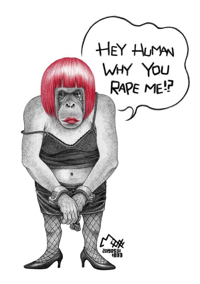 chimpanzee-rape
