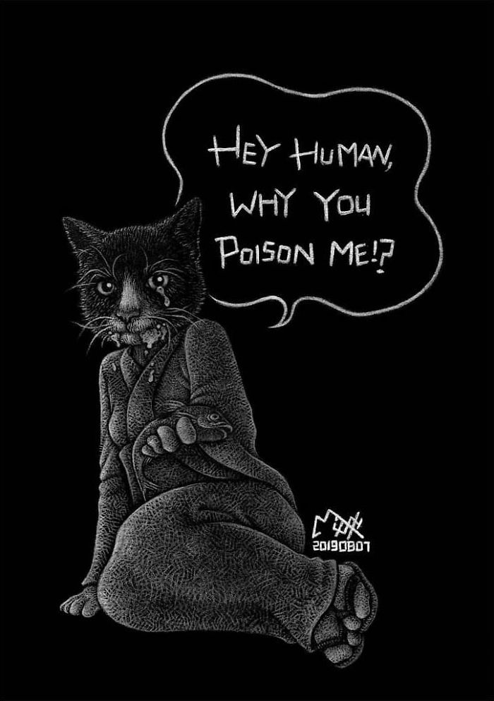 poisoned-cat