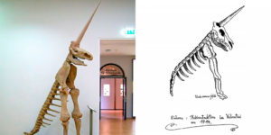 The Magdeburg Unicorn: The Worst Fossil Reconstruction Ever