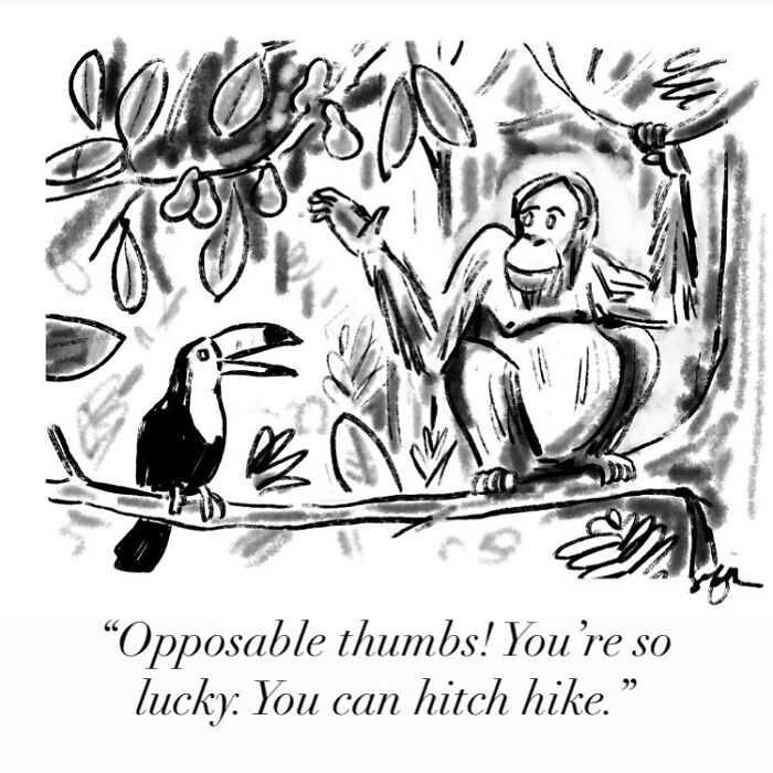 New-Yorker-Cartoonist-Draws-Hilariously-Clever-Comics-62f4b658cca30__700