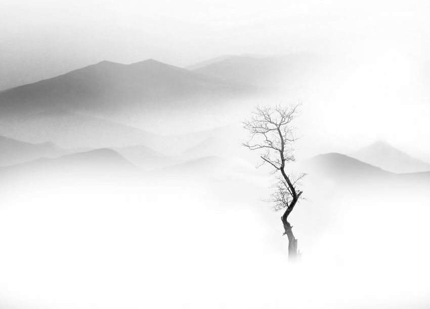 The Best Winning Photos Of Black And White Photo Awards 2022 - Vimarsana News