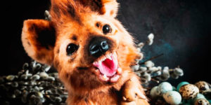 Artist Makes Animal Dolls Out Of Faux Fur, And It’s Both Ethical And Cut
