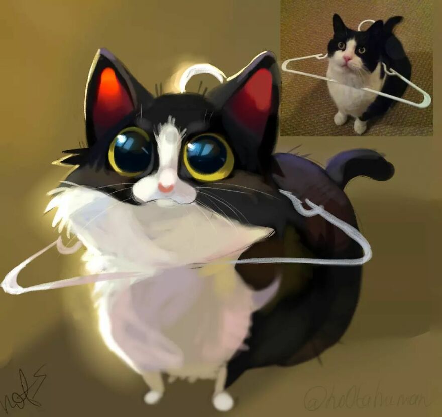 Artist-turns-pets-into-cute-drawings-Interview-With-Artist-63206cfd7a0bb__880
