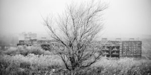 Amazing Black And White Photographs Of All About Photo Magazine Awards 2022
