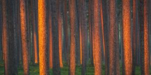 Photographer Captures Beautiful Pictures Of Finland’s Breathtaking Nature