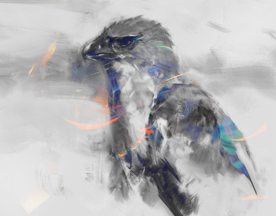 New-Guinea-harpy-eagle-5c5480fedf4a3__880