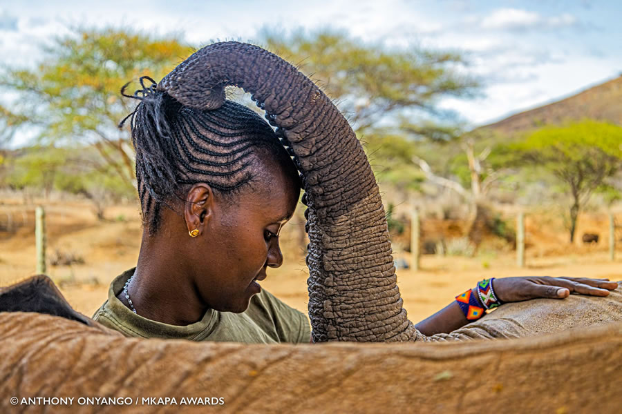 african_wildlife_photography_awards_03