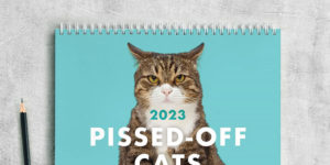 Finally, The 2023 Pissed-Off Cats Calendar Is Here!