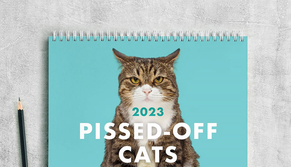 finally-the-2023-pissed-off-cats-calendar-is-here-design-you-trust