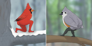 Finally, the 2023 Calendar of Extremely Accurate Birds