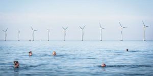 Spectacular Winning Images of The Environmental Photographer of The Year 2022