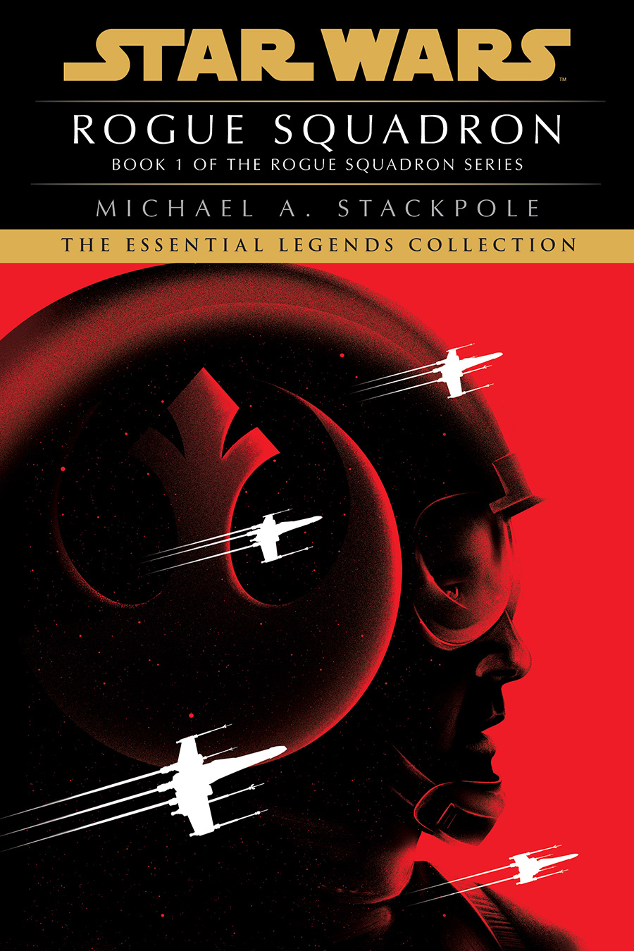 Rogue-squadron-book-cover-doaly