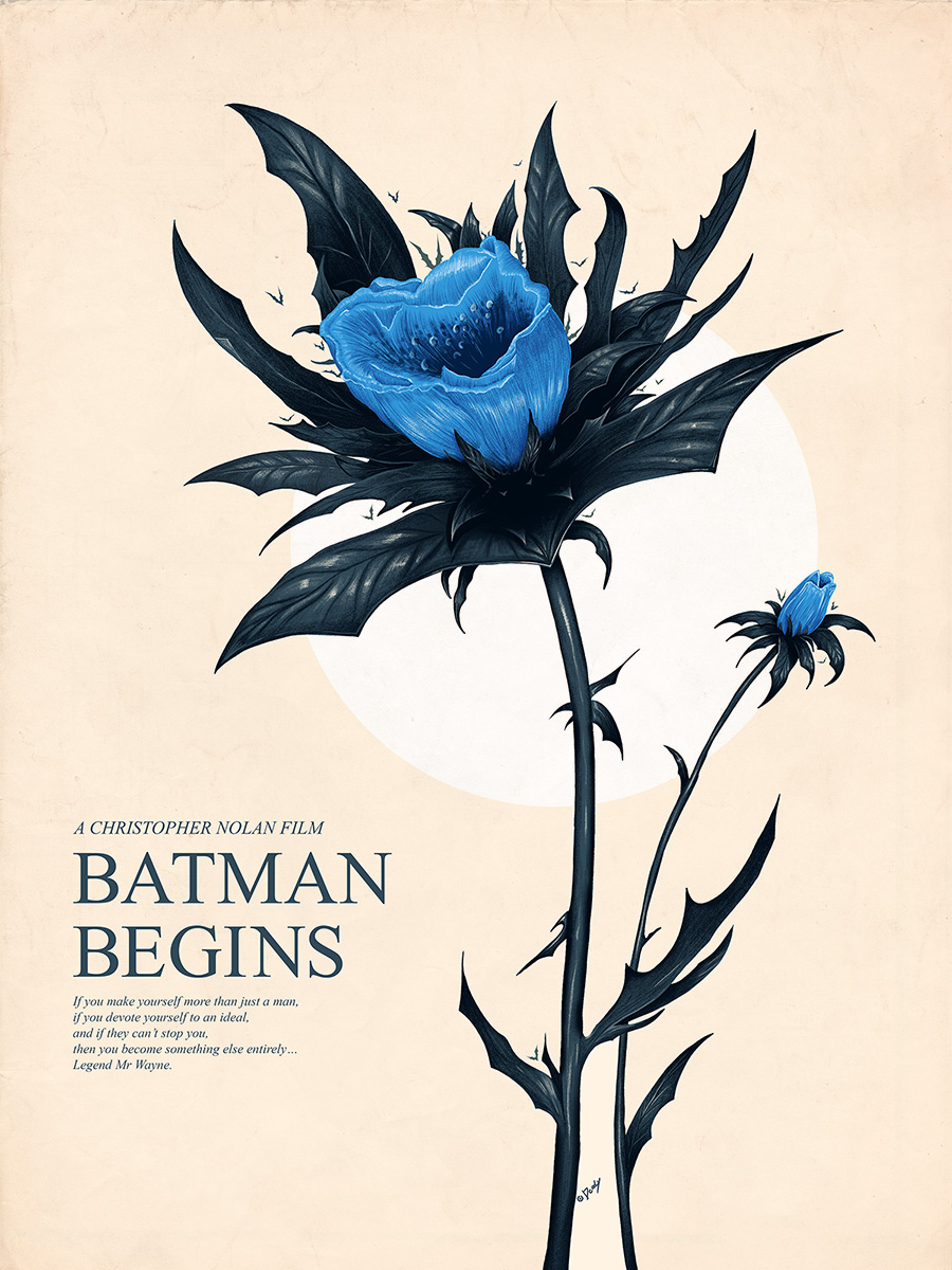 batman-begins-poster-art-doaly