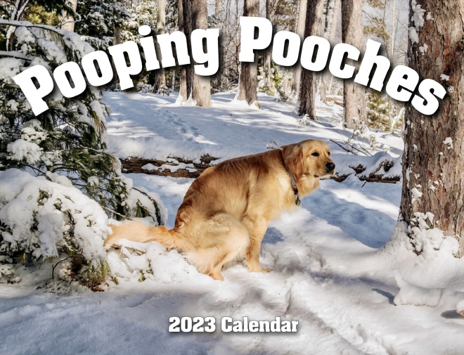 pooping-pooches1