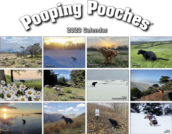 pooping-pooches5