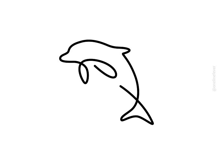 wild-lines-2-behance-dolphin-1-6380cedfc0941-png__700