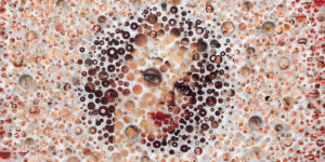 Fragmented Faces: Striking Portraiture by Michael Mapes