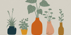 This Artist Draws Minimal Illustrations For Plant And Cat Lovers
