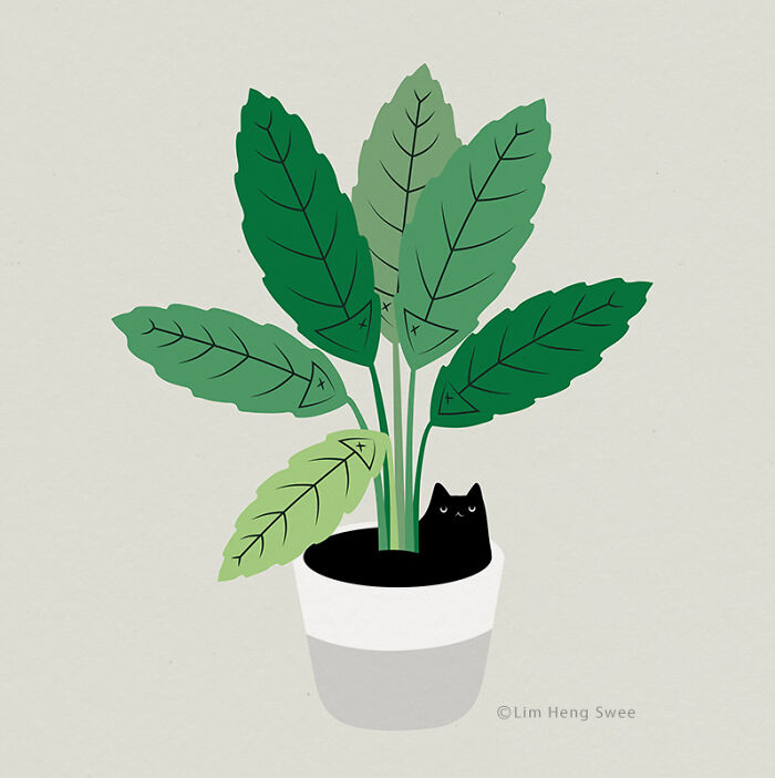Cat-and-Plant-28-60d03f61da906__700