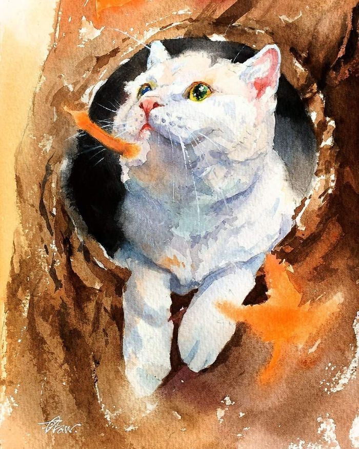 My-love-of-Cat-in-my-Watercolor-Cat-Paintings-5c4ed6bb5c32f__700