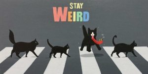 Artist Combines Dry Humor with Adopted Cat's Attitude in Hilarious Drawings