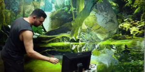 Photorealistic Rainforest Paintings by Artist Alonzo Morales Bravo