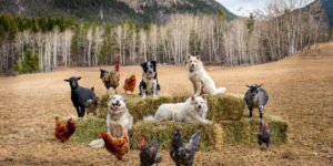 Farmily: Photographer Shares Stunning Collection of Favorite Farm Portraits Captured Over Two Years