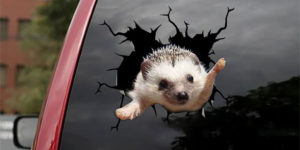 Animal Chaos on Your Car: 3D Decals to Make Rear Visibility a Thing of the Past