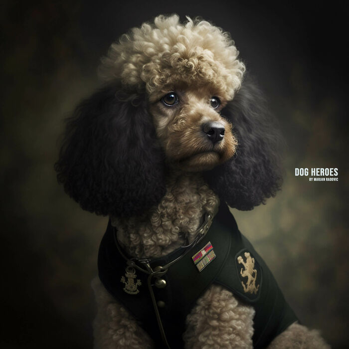 Dog-heroes-photographer-creates-hyper-realistic-dogs-using-AI-43-Pics-63f4bee59c1ae__700