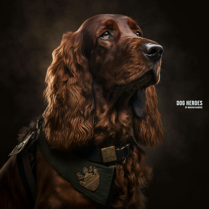 Dog-heroes-photographer-creates-hyper-realistic-dogs-using-AI-43-Pics-63f4bef5de839__700
