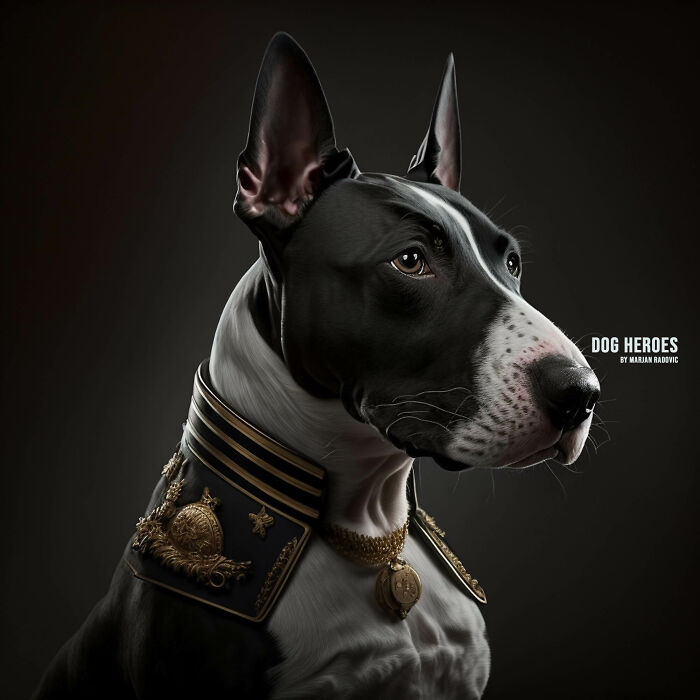 Dog-heroes-photographer-creates-hyper-realistic-dogs-using-AI-43-Pics-63f4befdcc6a2__700