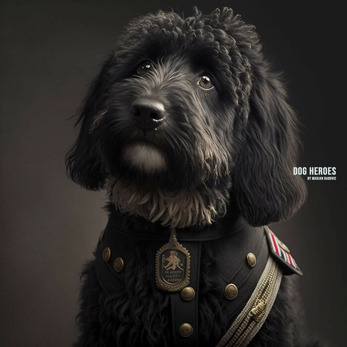 Dog-heroes-photographer-creates-hyper-realistic-dogs-using-AI-43-Pics-63f4bf00cd2aa__700