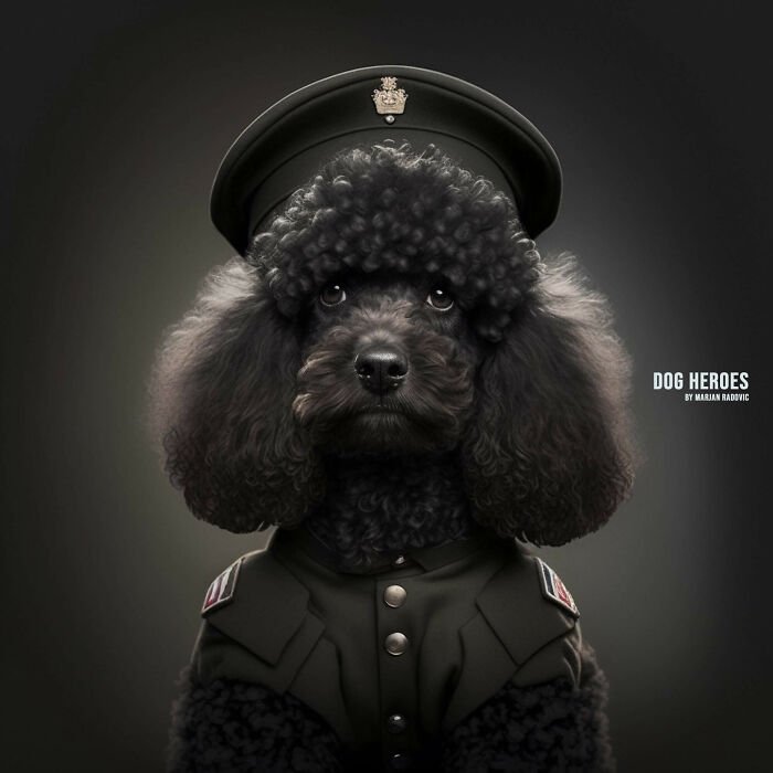 Dog-heroes-photographer-creates-hyper-realistic-dogs-using-AI-43-Pics-63f4bf04c097e__700