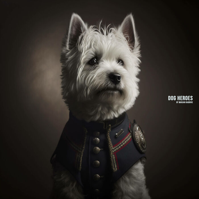 Dog-heroes-photographer-creates-hyper-realistic-dogs-using-AI-43-Pics-63f4bf180d62b__700