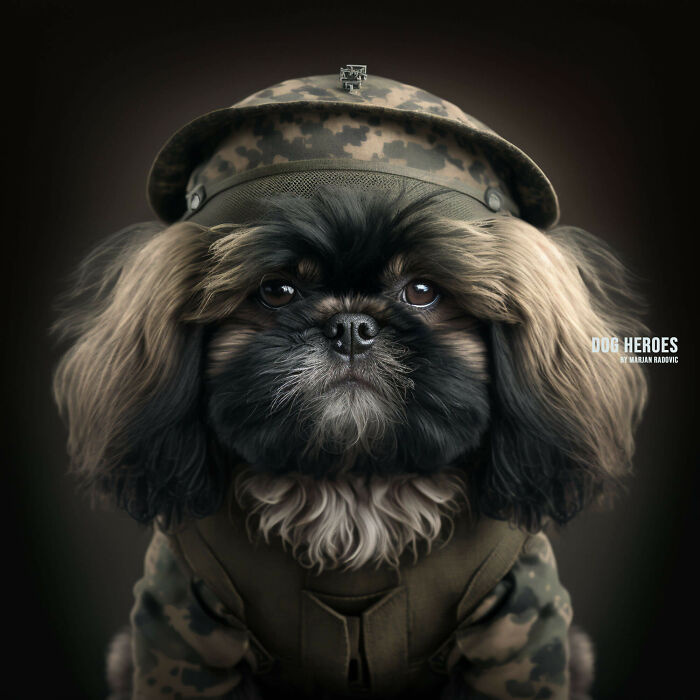 Dog-heroes-photographer-creates-hyper-realistic-dogs-using-AI-43-Pics-63f4bf21b94df__700