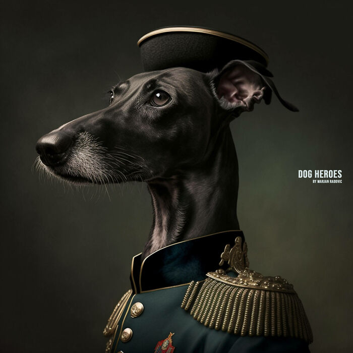 Dog-heroes-photographer-creates-hyper-realistic-dogs-using-AI-43-Pics-63f4bf28efafc__700