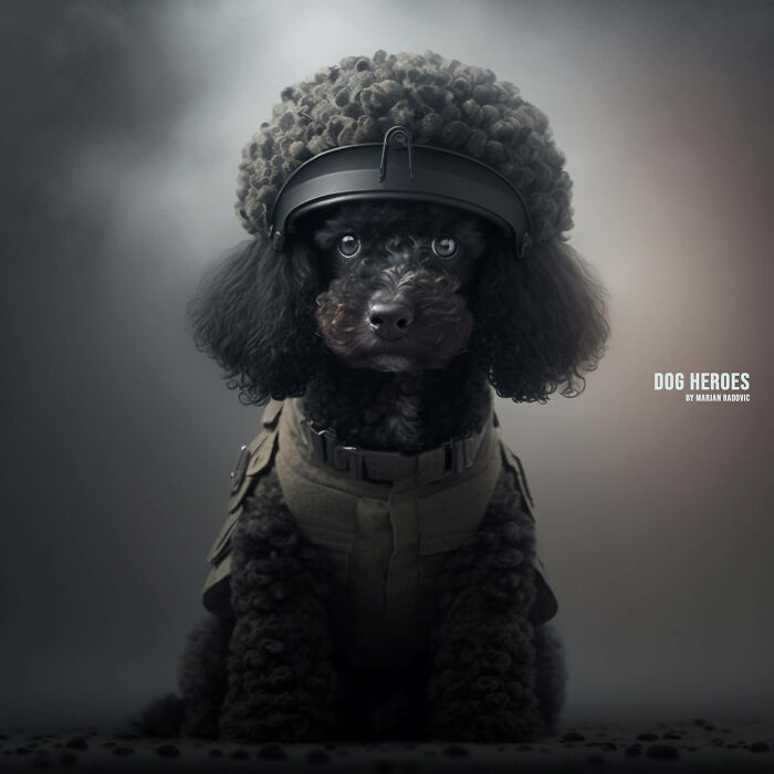Dog-heroes-photographer-creates-hyper-realistic-dogs-using-AI-43-Pics-63f4bf3acf995__700